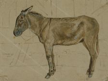 A donkey in a stable, c1814-1830. Creator: John Frederick Lewis