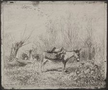 A Donkey in the Field, original impression 1862, printed in 1921. Creator: Charles François Daubigny (French, 1817-1878)