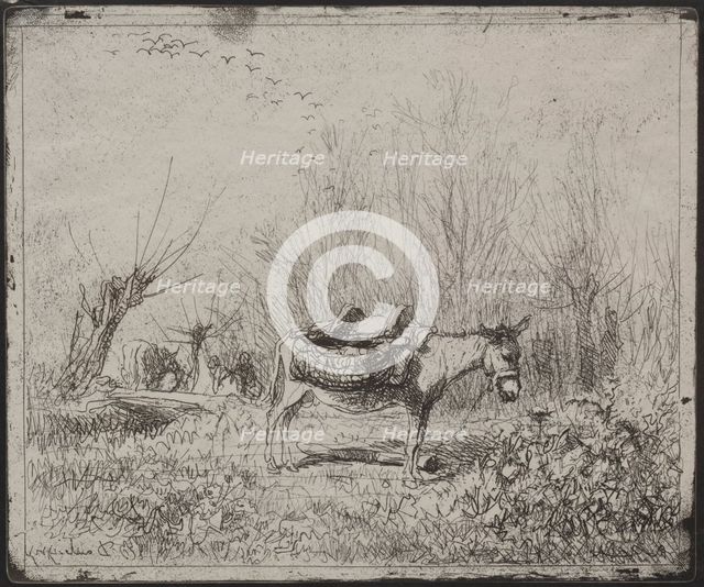 A Donkey in the Field, original impression 1862, printed in 1921. Creator: Charles François Daubigny (French, 1817-1878).
