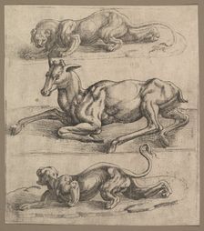 A Doe and Two Lionesses, ca. 1540. Creator: Attributed to Jan Cornelisz Vermeyen (Netherlandish, Beverwijk ca. 1504-1559 Brussels)