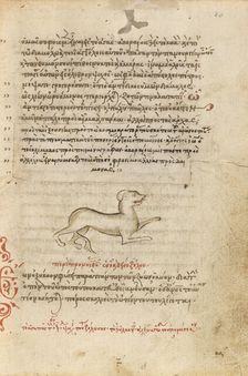 A Dog, 1510-1520. Creator: Unknown