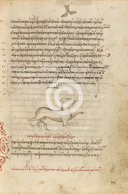 A Dog, 1510-1520. Creator: Unknown.