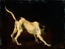 A Dog 17th century. Artist: Frans Snyders