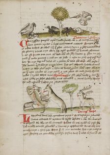 A Dog Biting a Wolf Laying Near his Den and Nearby a Sheep, a Donkey..., third quarter of 15th cent. Creator: Unknown