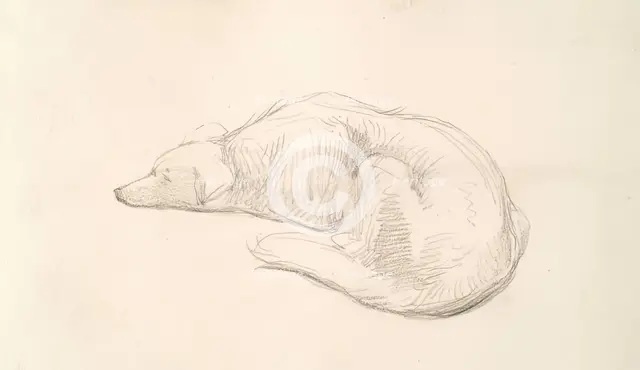A Dog, c1830s. Creator: John Phillip.
