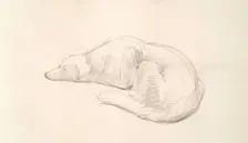 A Dog, c1830s. Creator: John Phillip