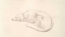 A Dog, c1830s. Creator: John Phillip