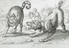 A Dog Fighting a Cat, 1610. Creator: Hendrick Hondius I