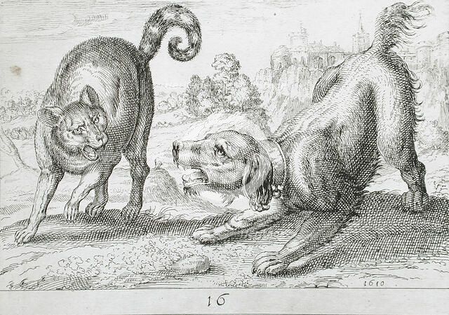 A Dog Fighting a Cat, 1610. Creator: Hendrick Hondius I.