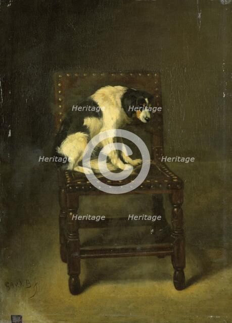 A Dog on a Chair, 1860-1891. Creator: Guillaume Anne van der Brugghen.