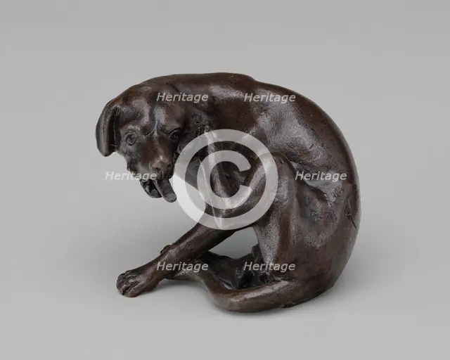 A Dog Scratching, 1630s. Creator: Georg Schweigger.
