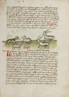 A Dog, Sheep, and Rams; Fables, third quarter of 15th century. Creator: Unknown