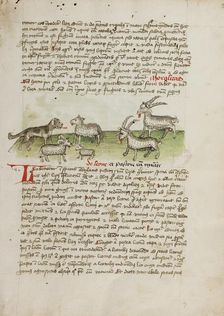 A Dog, Sheep, and Rams; Fables, third quarter of 15th century. Creator: Unknown