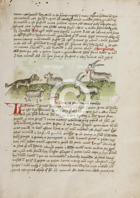 A Dog, Sheep, and Rams; Fables, third quarter of 15th century. Creator: Unknown.
