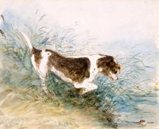 A Dog Watching a Rat in the Water 1831. Creator: John Constable