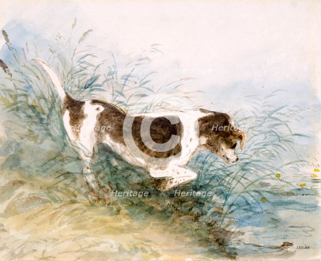 'A Dog Watching a Rat in the Water', 1831. Creator: John Constable.