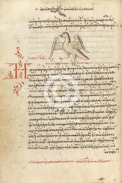 A Dove, 1510-1520. Creator: Unknown.