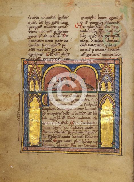 A Dove and a Falcon within an Arcade; Bestiary, about 1270. Creator: Unknown.