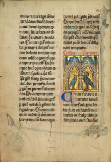 A Dove and a Falcon; De Natura Avium; De Pastoribus et Ovibus, 1277 or after. Creator: Unknown