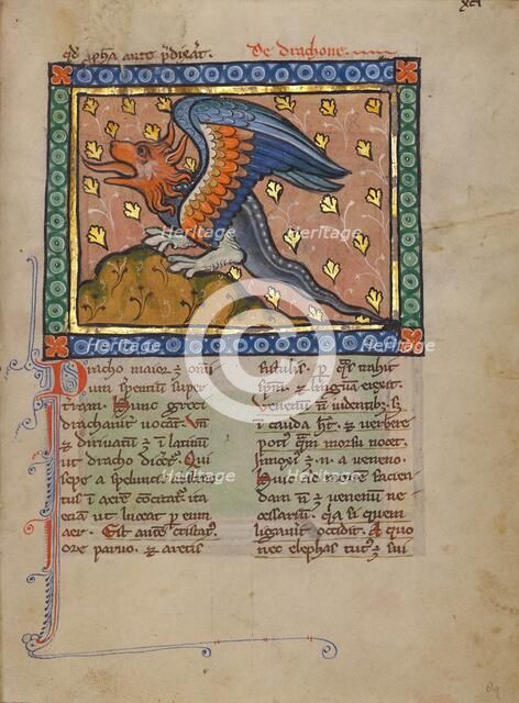 A Dragon; Bestiary, about 1270. Creator: Unknown.