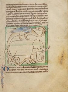 A Dragon; Northumberland Bestiary, about 1250-1260. Creator: Unknown