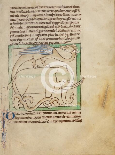 A Dragon; Northumberland Bestiary, about 1250-1260. Creator: Unknown.