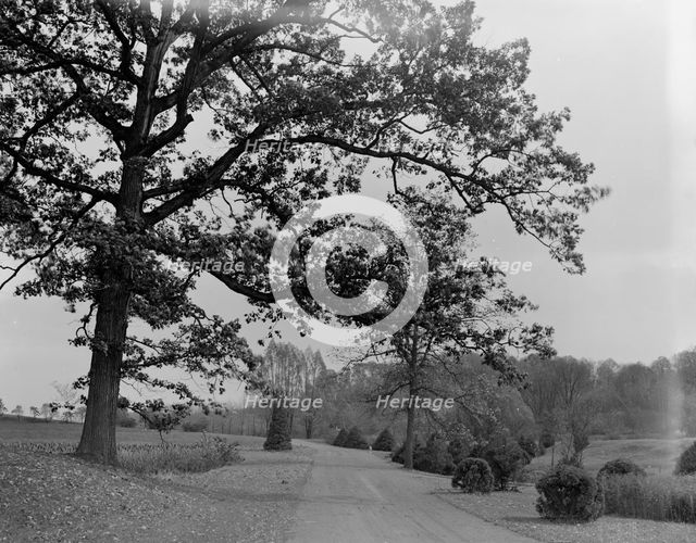 A Drive in Forest Park, Springfield, Mass., between 1910 and 1920. Creator: Unknown.