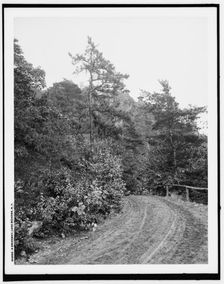 A Driveway, Lake Mohonk, N.Y., (1902?). Creator: Unknown