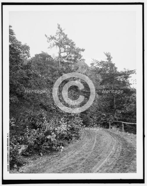 A Driveway, Lake Mohonk, N.Y., (1902?). Creator: Unknown.