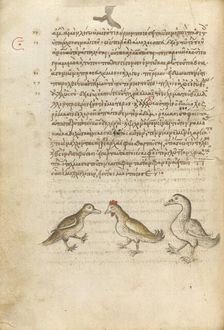 A Duck, a Rooster, and a Goose; Miscellany: Physiologus: other texts, 1510-1520. Creator: Unknown