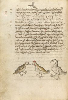 A Duck, a Rooster, and a Goose; Miscellany: Physiologus: other texts, 1510-1520. Creator: Unknown