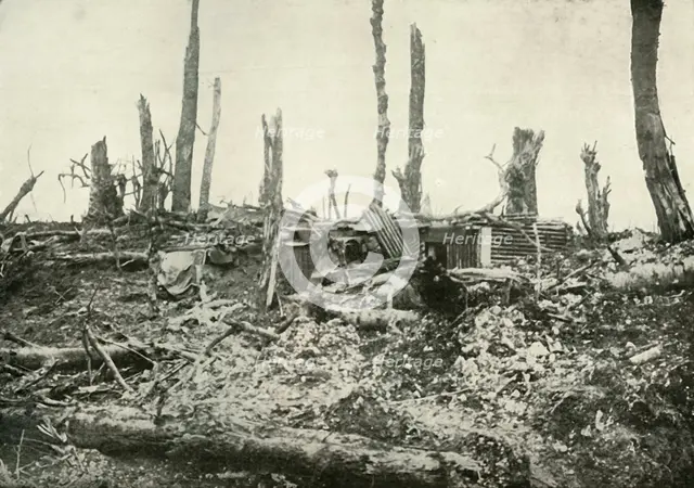 'A Dug-Out in What Was Once A Sylvan Wood', (1919).  Creator: Unknown.