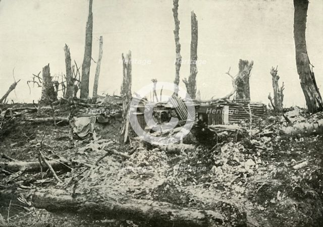 'A Dug-Out in What Was Once A Sylvan Wood', (1919).  Creator: Unknown.