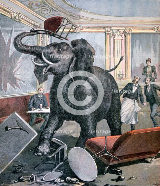 A elephant in the Pre-Catalan Café, Toulouse, France, 1891. Creator: Henri Meyer.