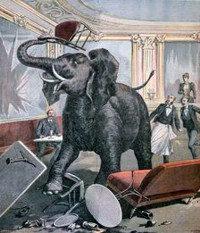 A elephant in the Pre-Catalan Café, Toulouse, France, 1891. Creator: Henri Meyer