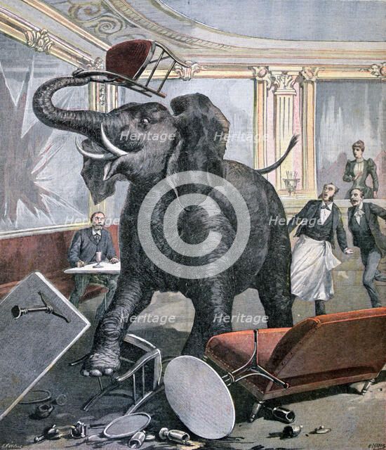A elephant in the Pre-Catalan Café, Toulouse, France, 1891. Creator: Henri Meyer.