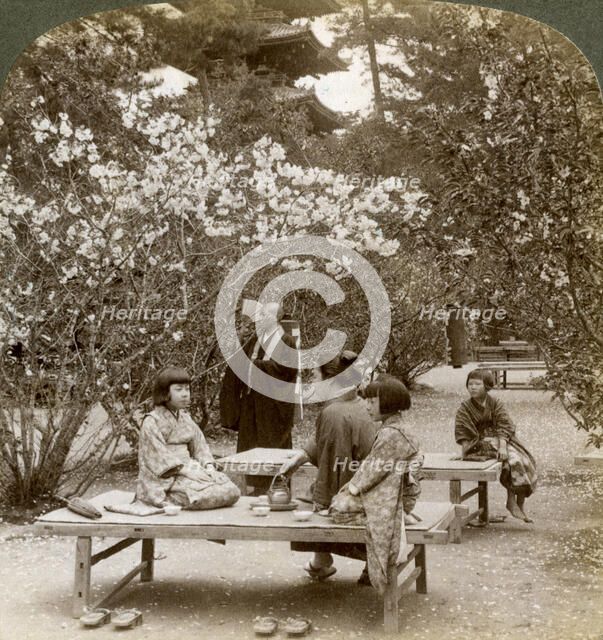 A family enjoying a picnic under the cherry blossoms, Omuro Gosho, Kyoto, Japan, 1904.Artist: Underwood & Underwood