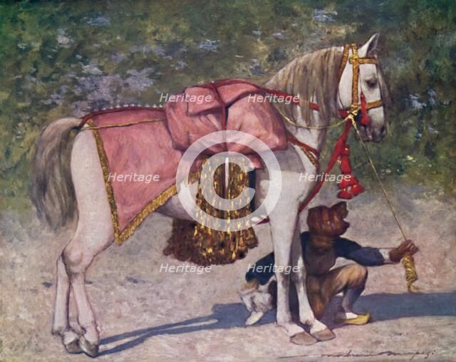 'A Famous Led Horse in the Retinue of the Rao of Cutch', 1903. Artist: Mortimer L Menpes.