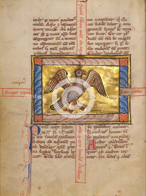 A Falcon; Bestiary, about 1270. Creator: Unknown.