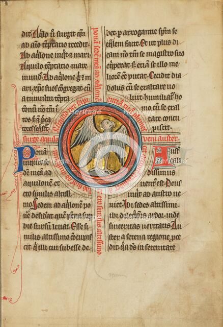 A Falcon within a Cross; De Natura Avium; De Pastoribus et Ovibus; Bestiarium, 1277 or after. Creator: Unknown.