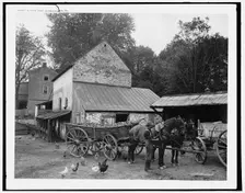 A Farm yard, Germantown, Pa., c.between 1900 and 1906. Creator: Unknown