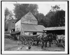 A Farm yard, Germantown, Pa., c.between 1900 and 1906. Creator: Unknown
