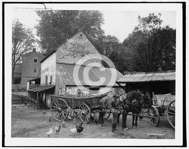 A Farm yard, Germantown, Pa., c.between 1900 and 1906. Creator: Unknown.
