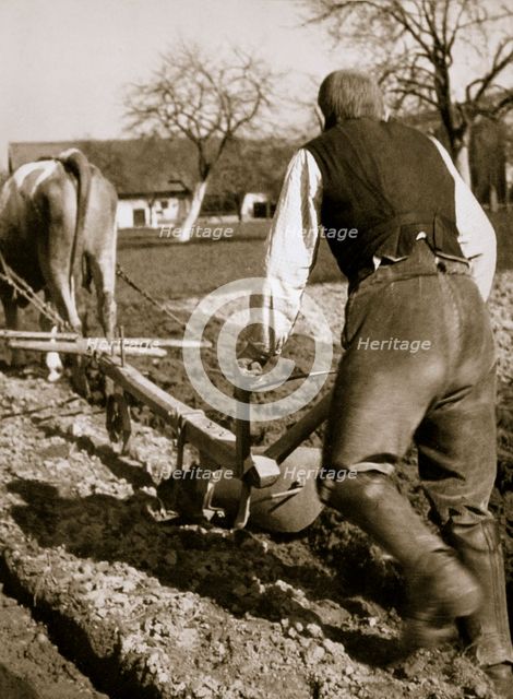 A farmer at work, ploughing a field, Germany, 1936. Creator: Unknown.