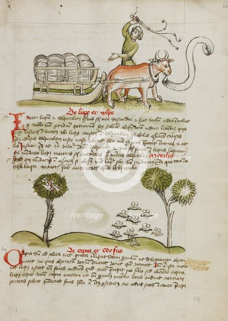 A Farmer Driving an Ox and Wagon: Swarms of Insects; Fables, third quarter of 15th century. Creator: Unknown.