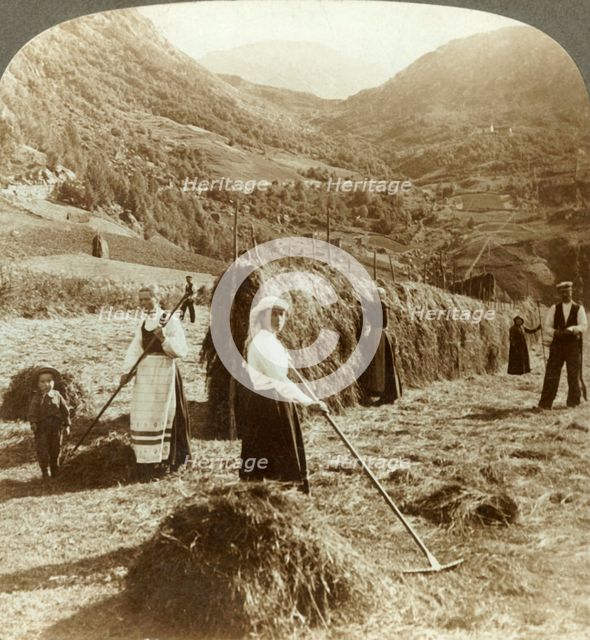 'A farmer's family making hay in a sunny field between the mountains, Roldal, Norway', c1905. Creator: Unknown.