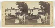 A Farmer's Life for Me, 1894. Creator: Underwood & Underwood