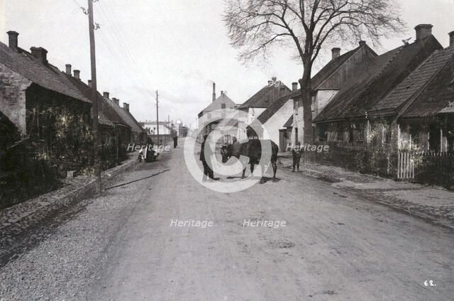 A farmer with a cow on a street, Landskrona, Sweden, 1900.  Artist: Borg Mesch