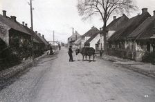 A farmer with a cow on a street, Landskrona, Sweden, 1900. Artist: Borg Mesch
