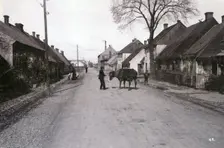 A farmer with a cow on a street, Landskrona, Sweden, 1900. Creator: Borg Mesch